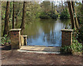 Blackmoor Pond, Burleigh