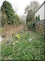 Footpath - Chidswell Lane