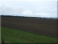 NY9869 : Farmland towards Little Whittington by JThomas