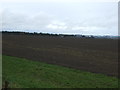 Farmland towards Little Whittington