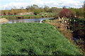 Stream into the Great Ouse