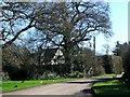 Rowditch Lane, Kilve, Somerset