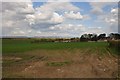 Sedgemoor : Grassy Field