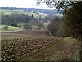 Public footpath bordering Frith Wood