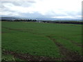 NZ0767 : Farmland near Harlow Hill by JThomas