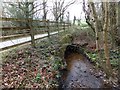 Youldon Bridge