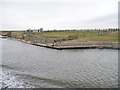 Sheepfold and landing stage, Frodsham Score