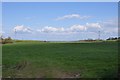 ST2243 : West Somerset : Grassy Field by Lewis Clarke