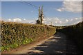 West Somerset : Country Road