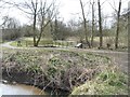 Short boardwalk by a pond