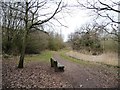 Footpath with bench