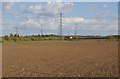 West Somerset : Ploughed Field