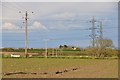 West Somerset : Grassy Field & Electricity Pylons