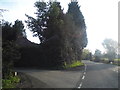 The A262, Flishinghurst