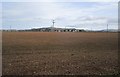 Arable land, Calfward