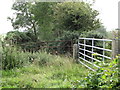 Field gates on the Ballywillwill Road