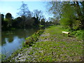 The riverside south of Amesbury