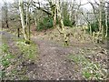 Footpath junction, Watermills Wood