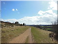 Leckhampton Hill Nature Reserve