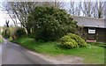 The lane past Sunnyhill Cottages going east