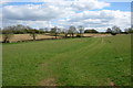 Track through the pasture