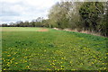 Footpath to Burcott Lodge