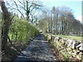 Cotswold Way at Greenway Lane