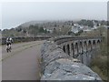 SO0307 : Cyclist on Cefn Coed Viaduct by Robin Drayton