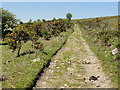 Moorland Track near Rogues Roost