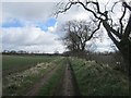 Farm road, Dogton