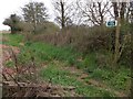 Footpath to West Trecott