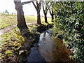 Stream on the west side of Montem Recreation Ground, Slough