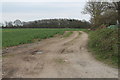 Track towards Gillwell Plantation