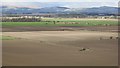 Arable land below Balbedie