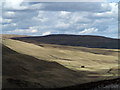 NY8328 : Slopes of Widdybank Fell by Trevor Littlewood