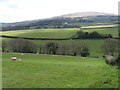 Farmland and Dartmoor in the distance