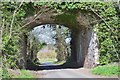 Ivy clad railway bridge, Kelso