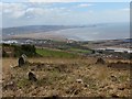 Mynydd Cilfai / Kilvey Hill