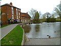 The Orange Way in Wiltshire (167)