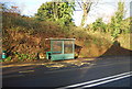 Bus stop, Teignmouth Rd