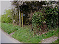 TM3976 : Footpath to the A144 Bramfield Road by Geographer