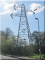 Electricity Pylon No PST 20 - Richmond Park Avenue