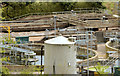 J5252 : Wastewater treatment works, Killyleagh by Albert Bridge