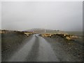 Road, Slievekirk