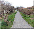 Wooden sculpture in Cefn Fforest & Pengam Ecopark