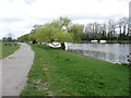 The River Thames at Hampton