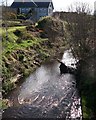 The Cully Water at Silverbridge