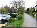 The Thames Path at West Molesey