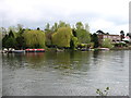 The River Thames near Sunbury