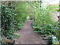 The Thames Path approaches Chertsey